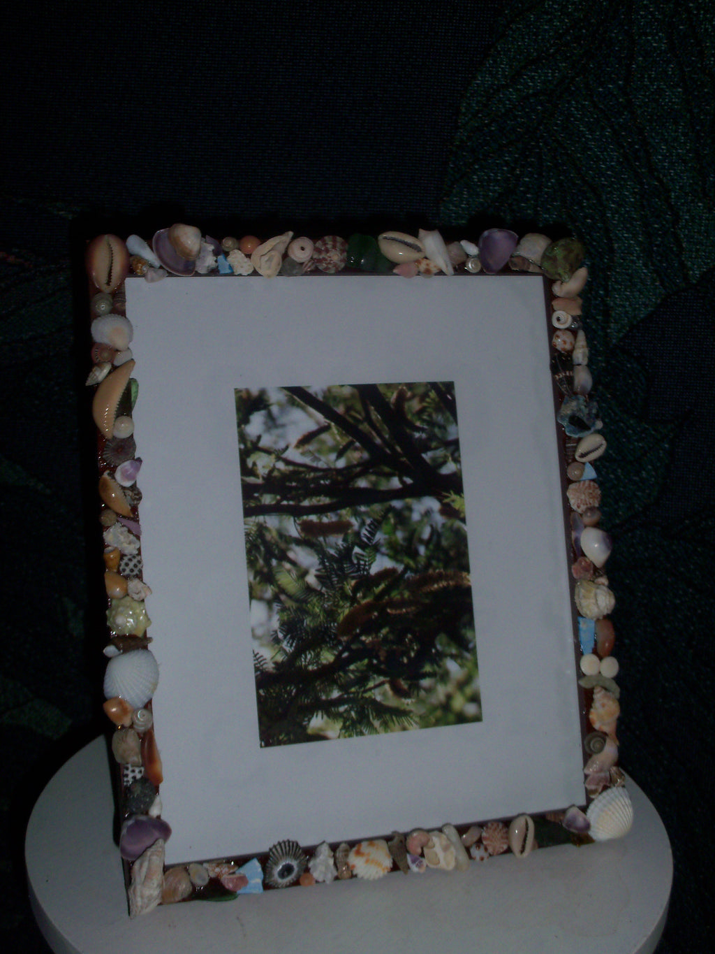 Handmade Shell Frame