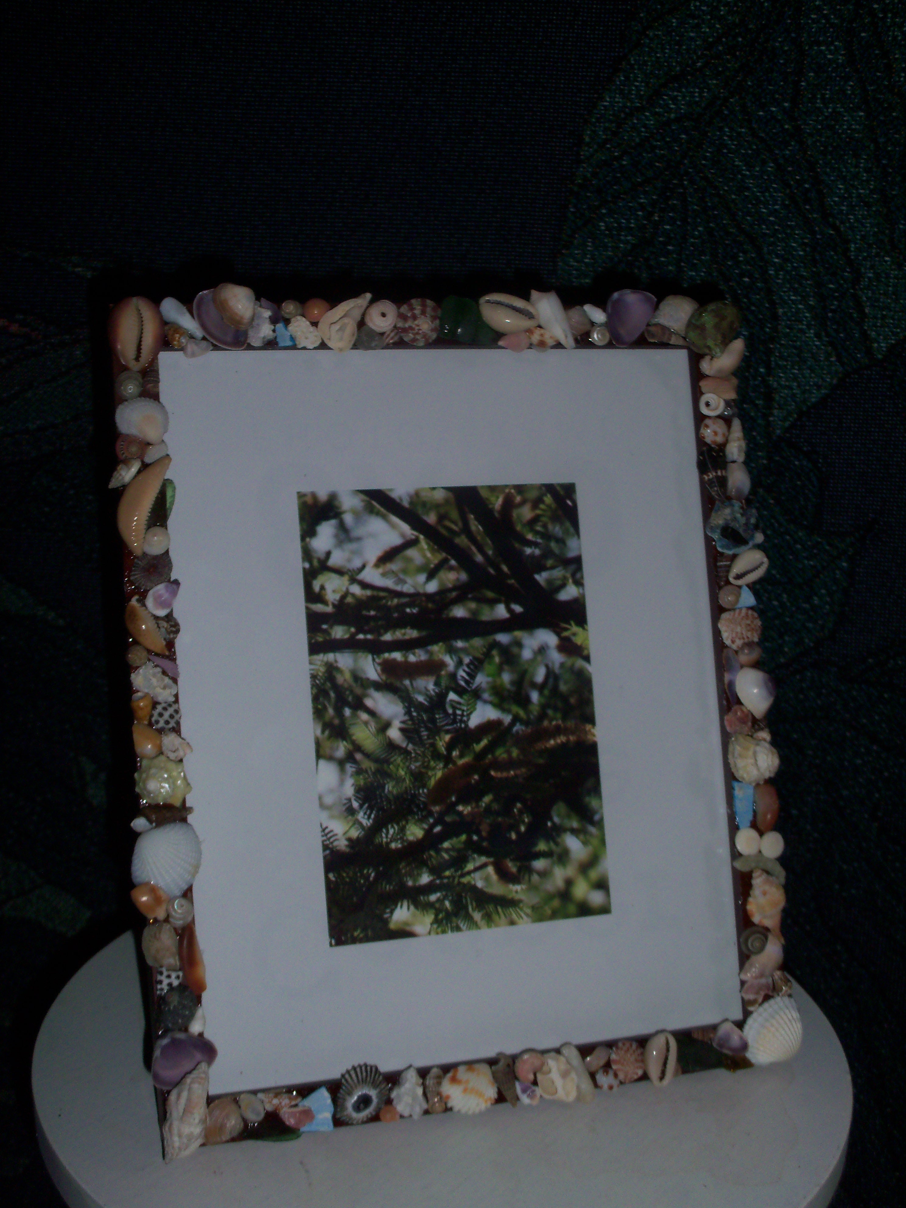 Handmade Shell Frame