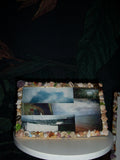 Handmade shell frame