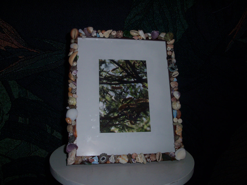 Handmade Shell Frame