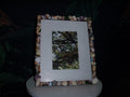 Handmade Shell Frame